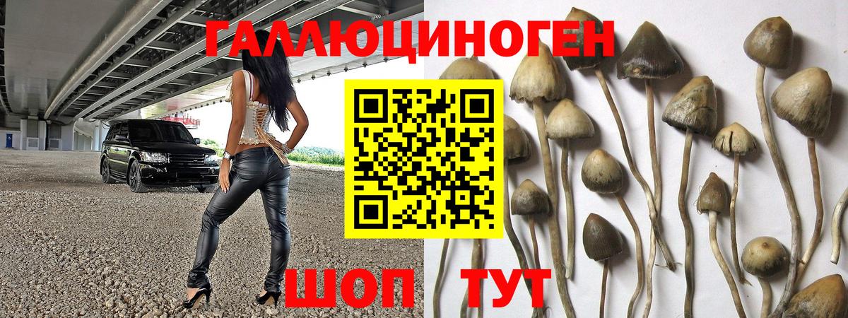 купить наркотики сайты  Галлюциногенные грибы Psilocybine cubensis  Вход с VPN  Котлас 
