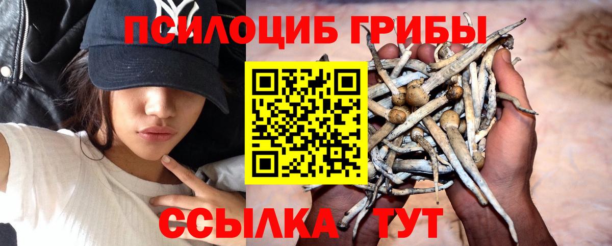 Галлюциногенные грибы мицелий Котлас